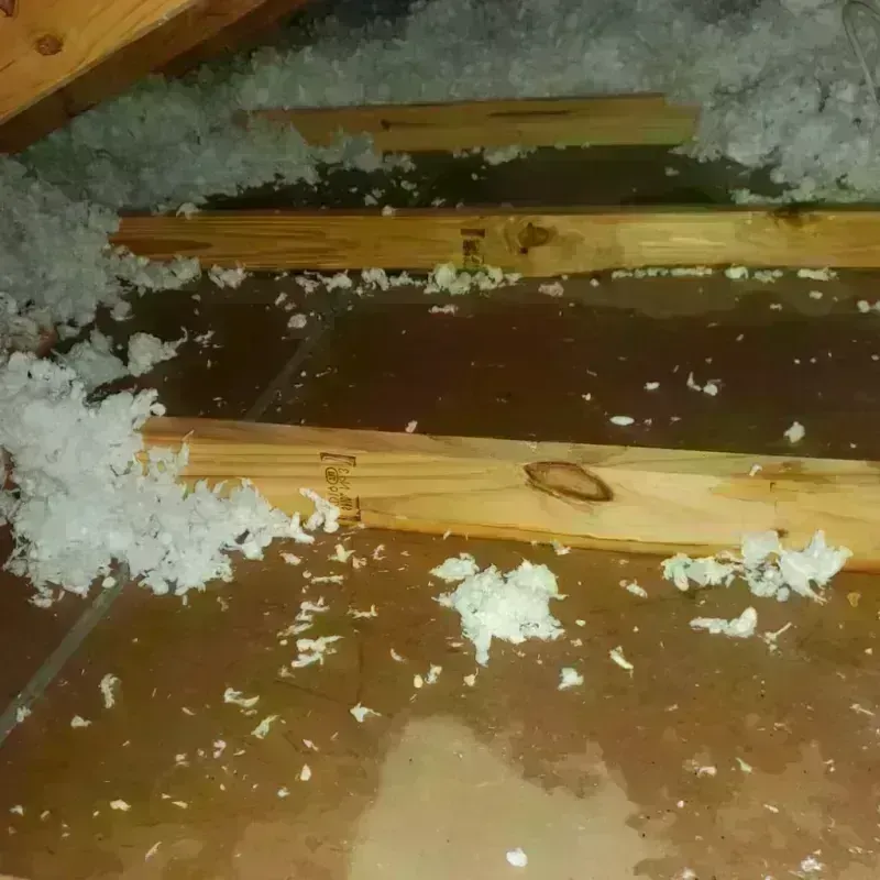 Attic Water Damage in Aliquippa, PA